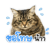 881413443