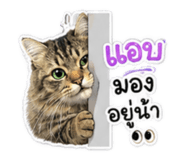 881413444