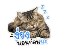 881413457