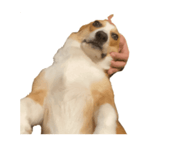 881415350