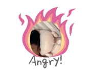 881416179