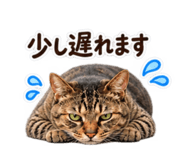 881419312