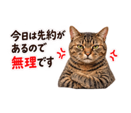 881419315