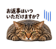 881419319