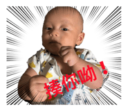 881421638