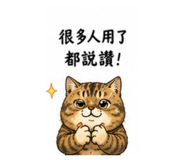 881422554