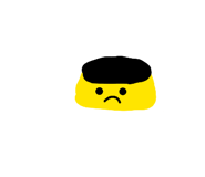 881438455