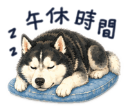881442296