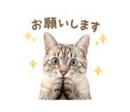 881455027