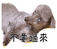 881459527