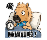 881462580