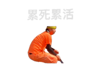 881465010