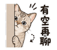 881476656