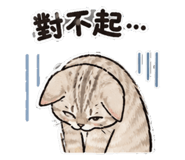 881476675