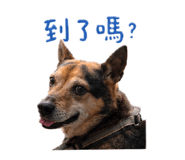 881476797