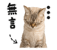 881477820