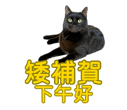 881477987