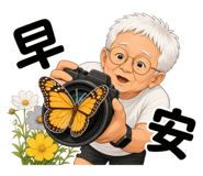 881482037