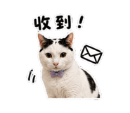 881489461