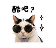 881489472
