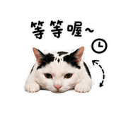 881489484