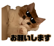 881490187