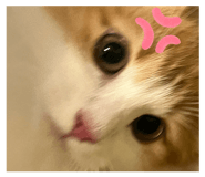 881490190