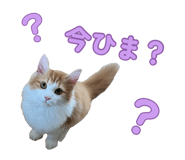 881490191