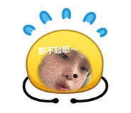 881497081