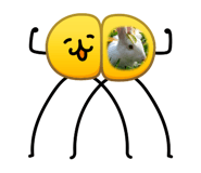 881499291