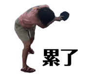 881502677