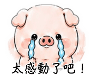 881503442