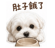 881506219
