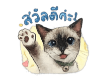 881506889