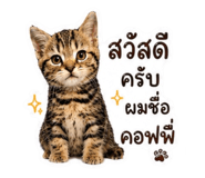 881509121