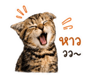 881509123