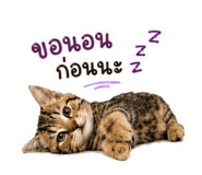 881509125