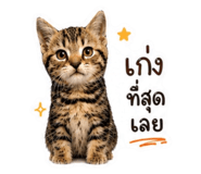 881509127