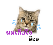 881509508