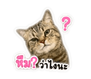 881509516