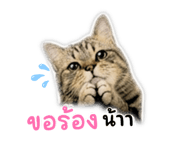 881509518