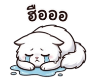 881519509