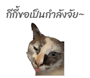 881520100