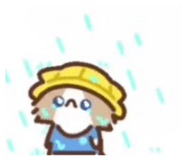 881520620