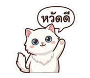 881528417