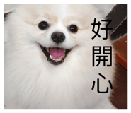 881537194