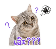 881538209