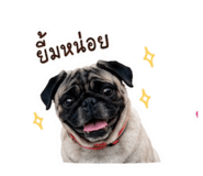 881539505