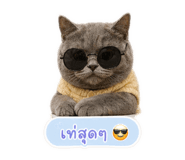 881539537