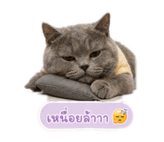 881539539